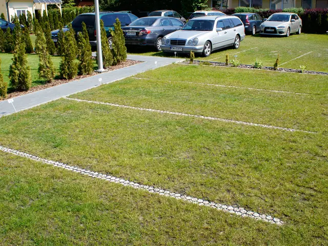 Trawnik z obrzeżem z otoczaków wyznaczającym pas parkingowy obok zaparkowanych aut