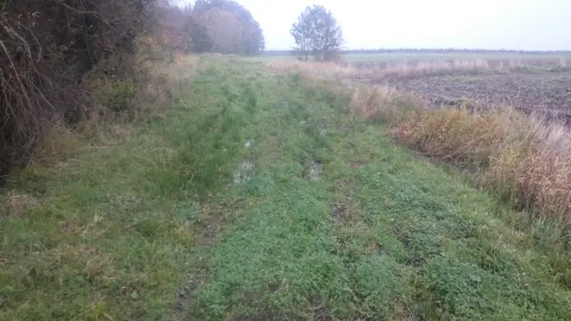 Rozmokła polna droga między polami uprawnymi w Rogozinie przed rozpoczęciem prac