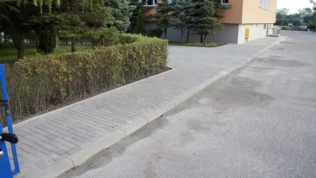 Fragment chodnika z kostki wzdłuż żywopłotu przy budynku Gimnazjum nr 3