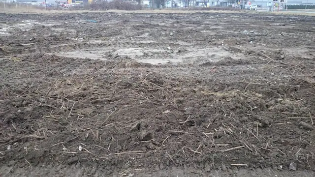 Działka przy ul. Jasnej w Kołobrzegu wyrównana po zakończeniu rozbiórki i wywiezieniu gruzu