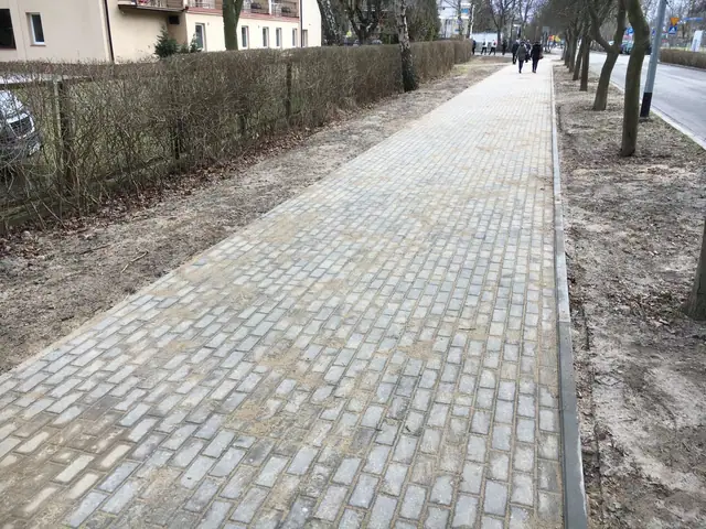 Prosty odcinek chodnika z kostki granitowej biegnący wzdłuż żywopłotu i alei drzew