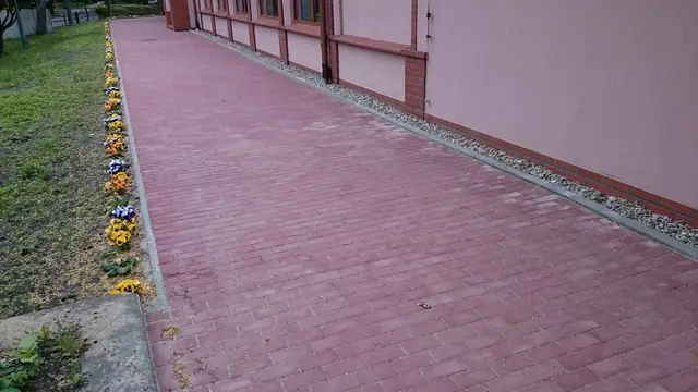 Wybrukowana czerwoną kostką ścieżka wzdłuż kwietnika z żółtymi i fioletowymi kwiatami