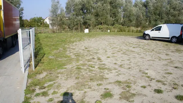 Zarośnięty, nieużywany fragment terenu trawiastego przy parkingu marketu, ogrodzenie z siatki