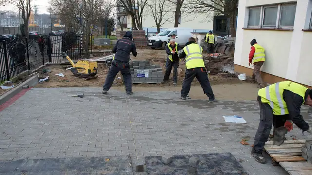 Robotnicy rozkładają kostkę brukową na przygotowanym piasku przy wejściu do budynku