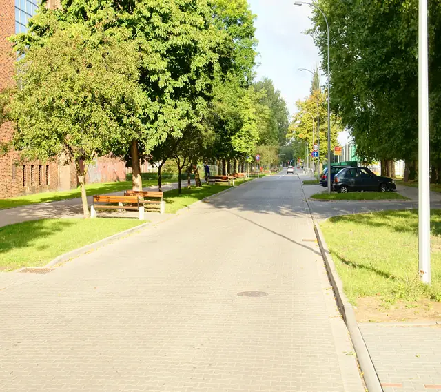 Aleja z kostki brukowej obsadzona drzewami przy kompleksie stadionów w Kołobrzegu